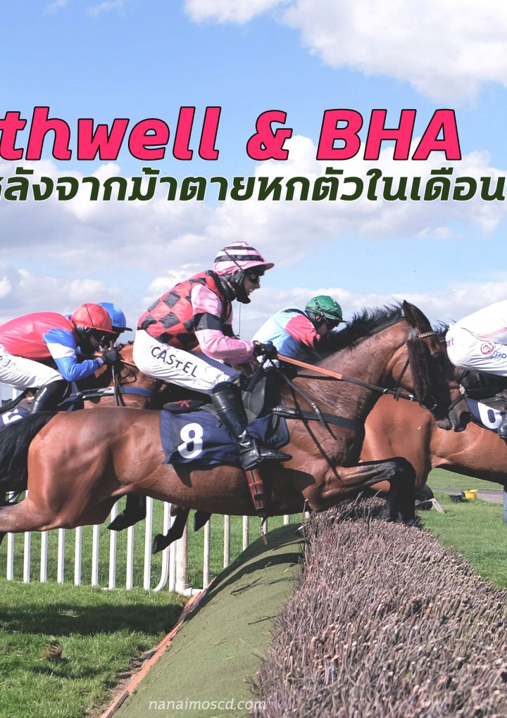 Southwell & BHA สอบสวนหลังจากม้าตายหกตัว ในเดือนที่ผ่านมา